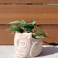 Terracotta Pot - Horned Owl