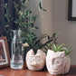 Terracotta Pot - Horned Owl