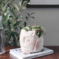 Terracotta Pot - Horned Owl
