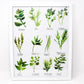 All about Herbs! Art Print- 11x14in, Food Art, Home Decor, Kitchen Decor, Simple Design
