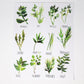 All about Herbs! Art Print- 11x14in, Food Art, Home Decor, Kitchen Decor, Simple Design